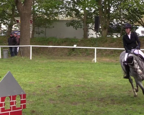 Reitturnier Meldorf 2019