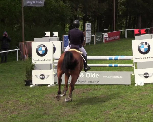 Reitturnier Meldorf 2019