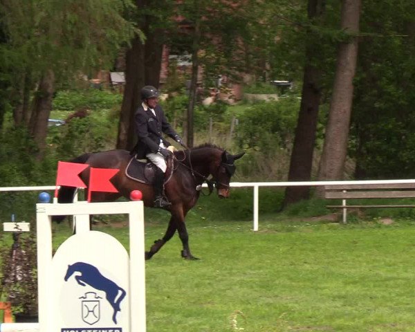 Reitturnier Meldorf 2019