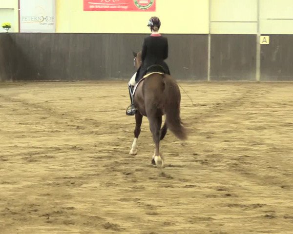 Reitturnier St. Peter Ording 2021