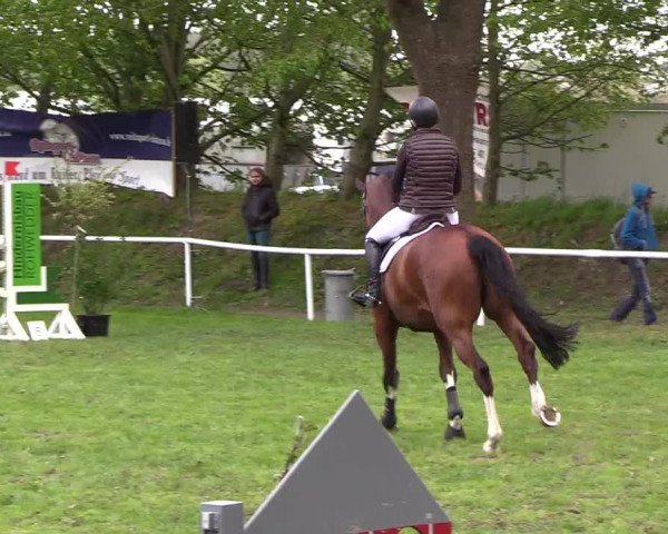 Reitturnier Meldorf 2019