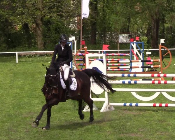 Reitturnier Meldorf 2019