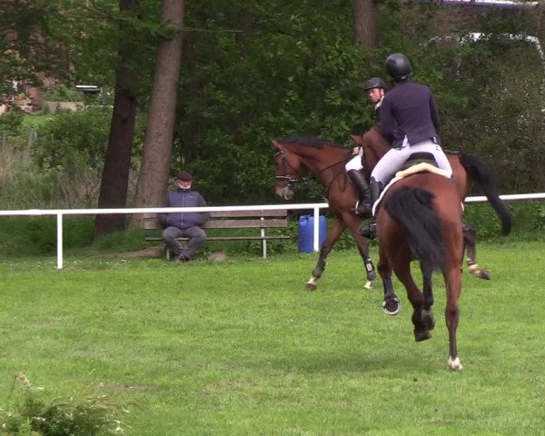 Reitturnier Meldorf 2019
