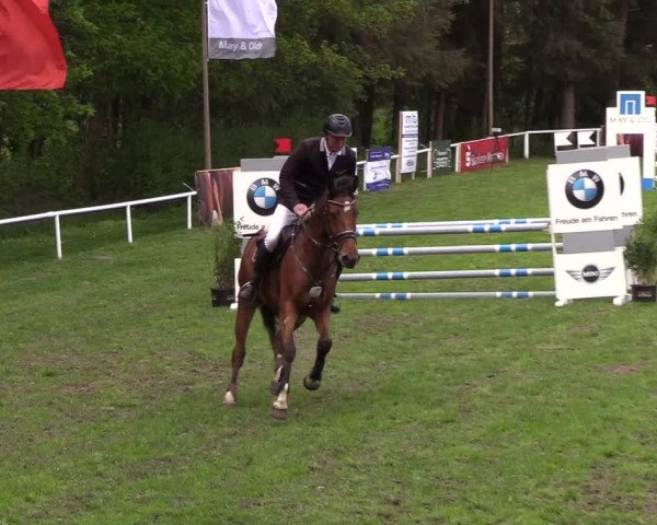 Reitturnier Meldorf 2019