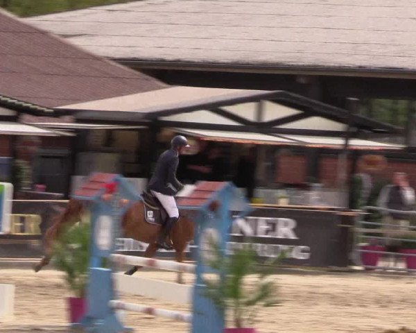 Reitturnier Havixbeck 2019