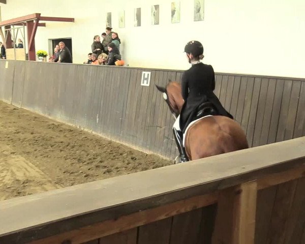 Reitturnier St. Peter Ording 2021