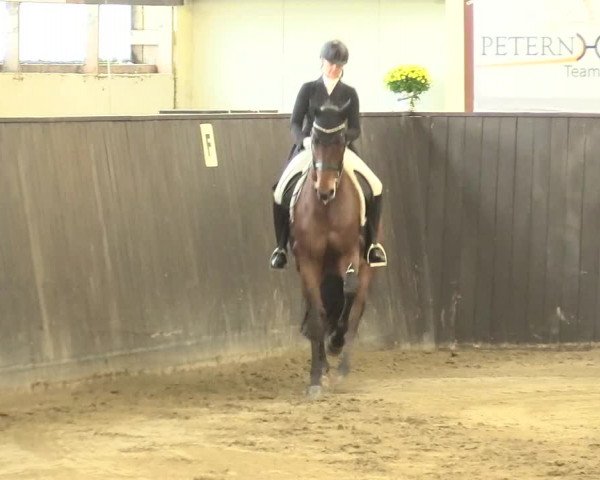 Reitturnier St. Peter Ording 2021