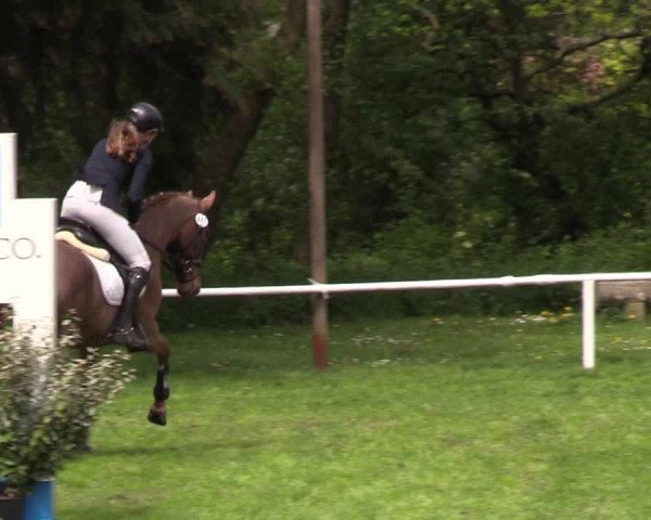 Reitturnier Meldorf 2019