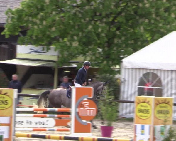 Reitturnier Havixbeck 2019