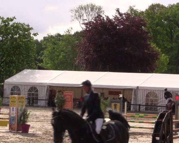 Reitturnier Havixbeck 2019