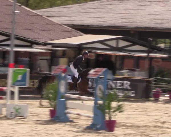 Reitturnier Havixbeck 2019