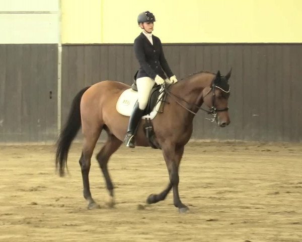 Reitturnier St. Peter Ording 2021
