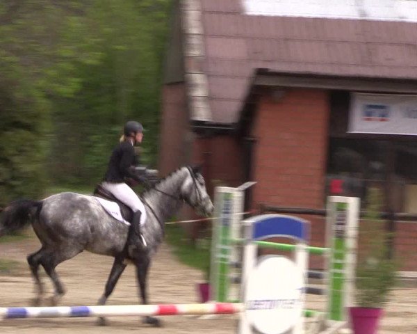 Reitturnier Havixbeck 2019