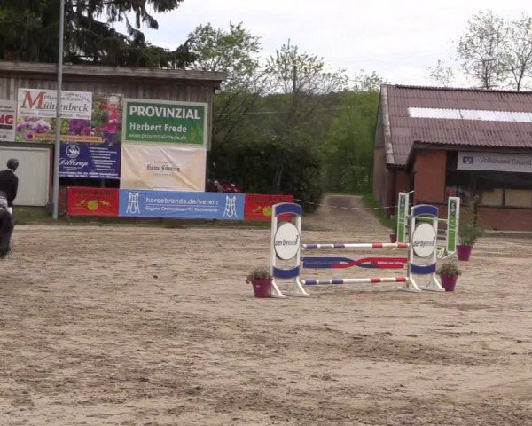 Reitturnier Havixbeck 2019