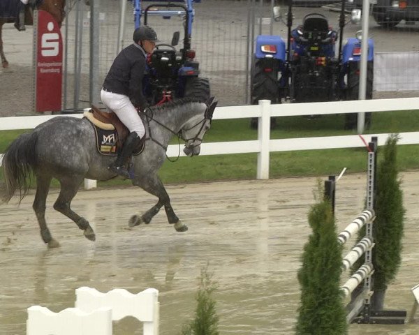 Reitturnier Leutkirch-Diepoldshofen 2019