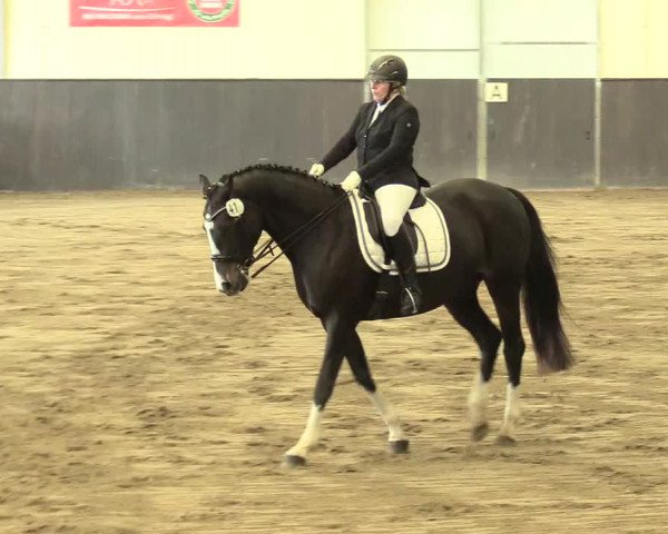 Reitturnier St. Peter Ording 2021