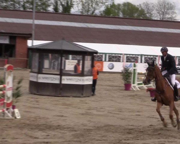 Reitturnier Havixbeck 2019