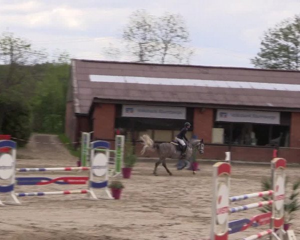 Reitturnier Havixbeck 2019