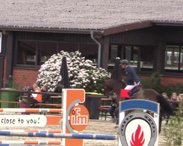 Reitturnier Havixbeck 2019