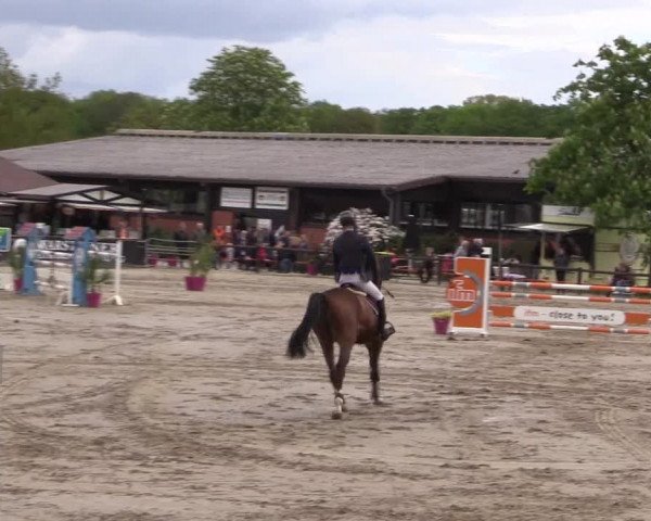 Reitturnier Havixbeck 2019