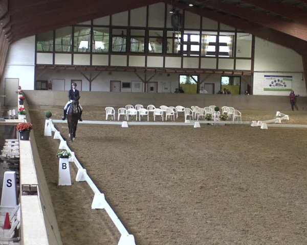 Reitturnier Kamen 2019