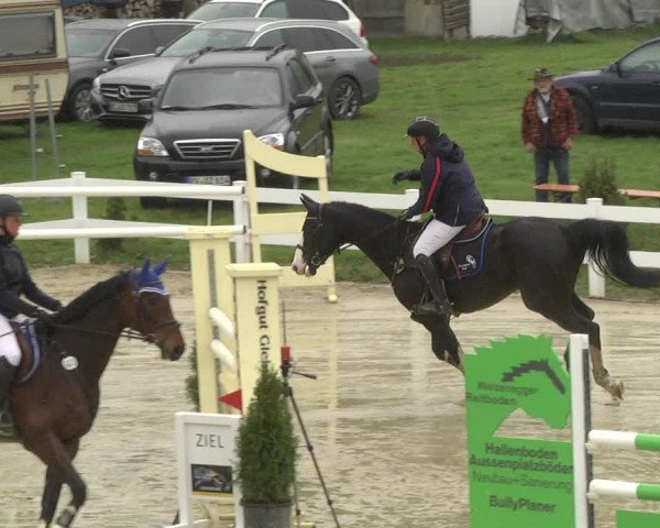 Reitturnier Leutkirch-Diepoldshofen 2019