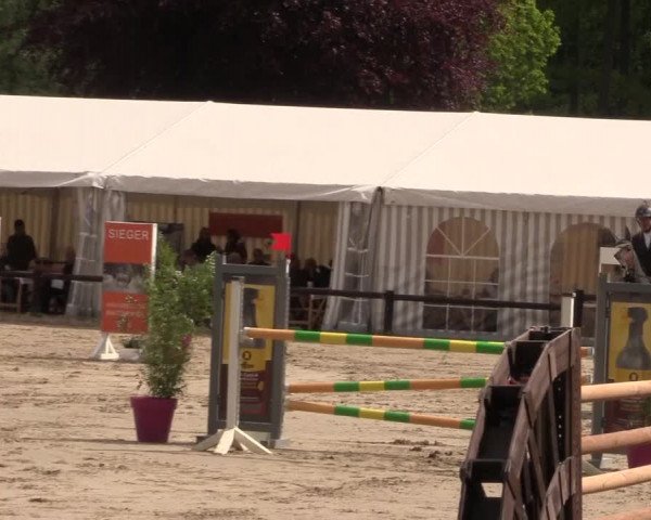 Reitturnier Havixbeck 2019