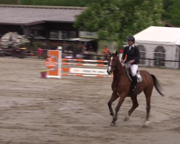 Reitturnier Havixbeck 2019
