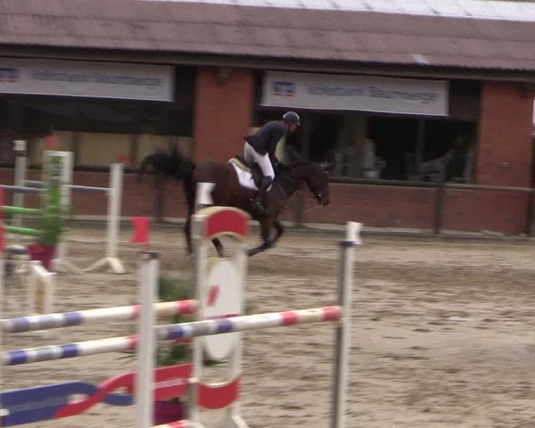 Reitturnier Havixbeck 2019