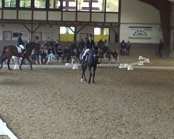 Reitturnier Kamen 2019