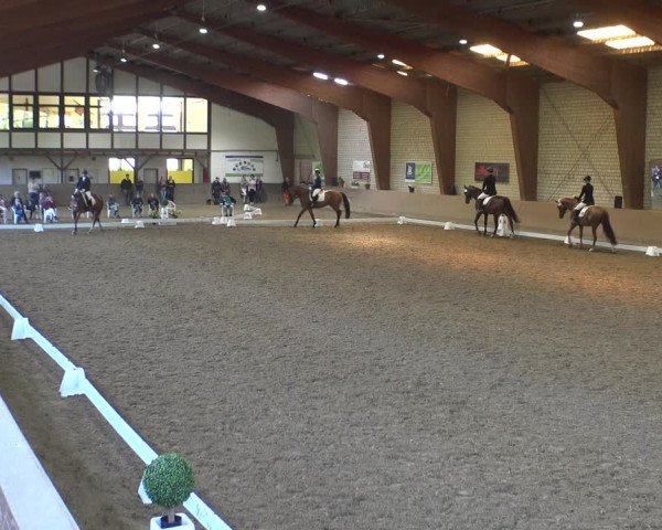 Reitturnier Kamen 2019