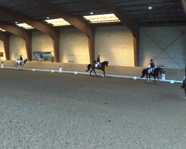 Reitturnier Kamen 2019