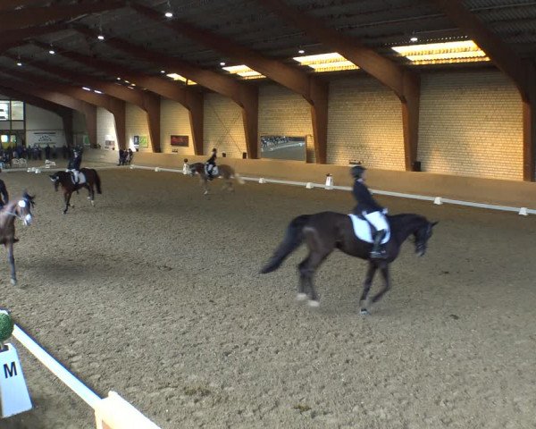 Reitturnier Kamen 2019