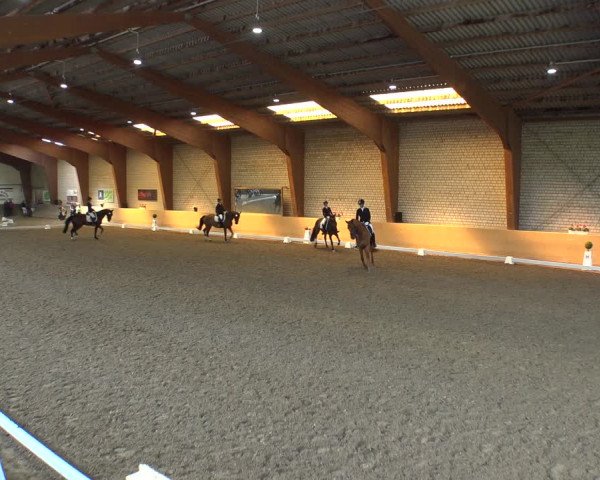 Reitturnier Kamen 2019