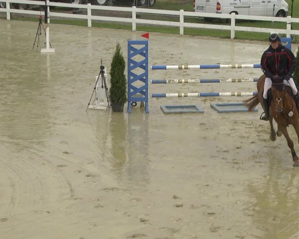 Reitturnier Leutkirch-Diepoldshofen 2019