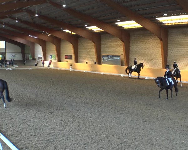 Reitturnier Kamen 2019