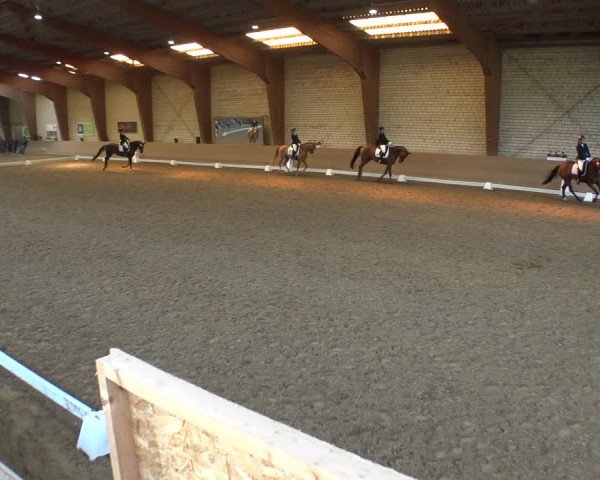 Reitturnier Kamen 2019
