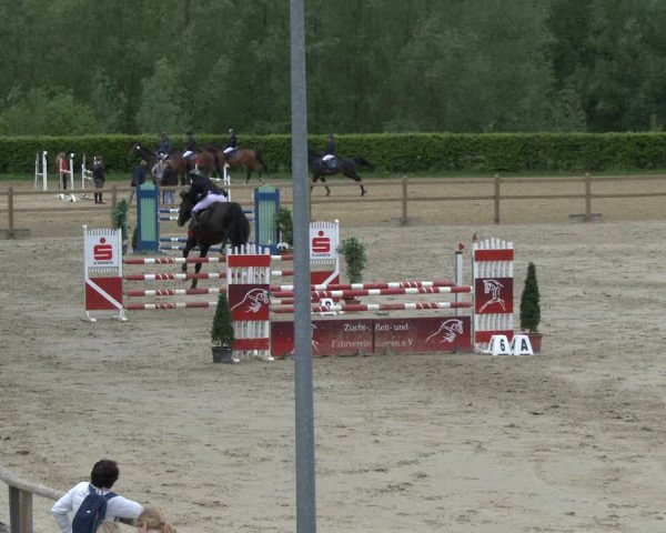 Reitturnier Kamen 2019