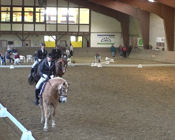 Reitturnier Kamen 2019