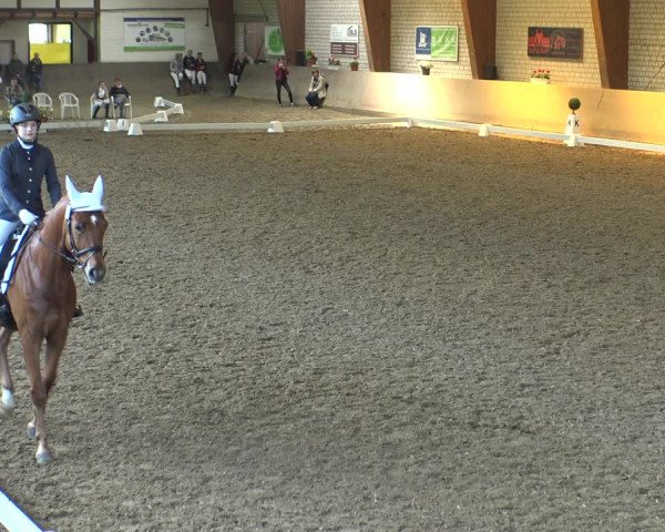 Reitturnier Kamen 2019