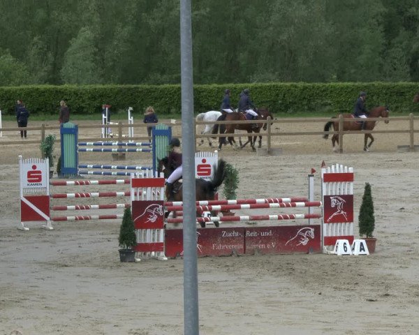 Reitturnier Kamen 2019