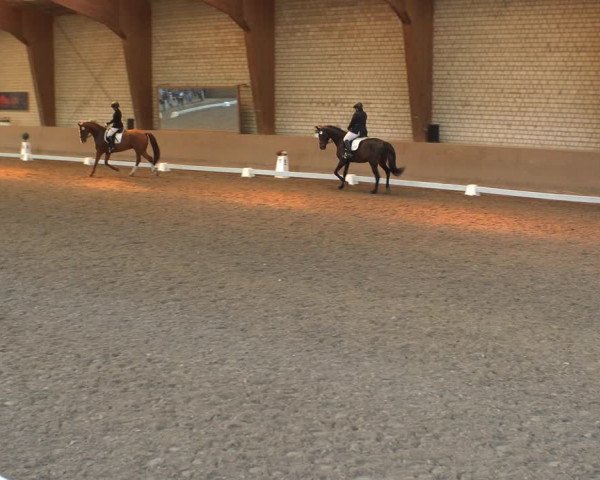 Reitturnier Kamen 2019