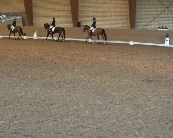Reitturnier Kamen 2019