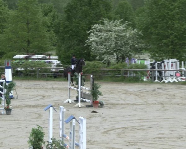 Reitturnier Kamen 2019