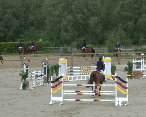 Reitturnier Kamen 2019