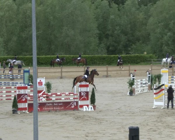 Reitturnier Kamen 2019