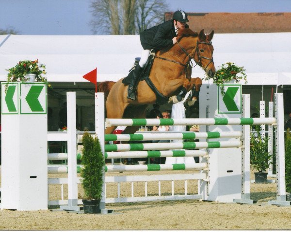 broodmare grannissa (Oldenburg show jumper, 1997, from Gragenit)