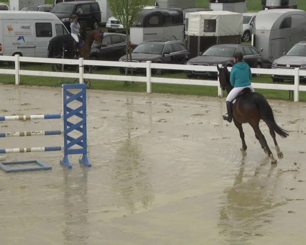 Reitturnier Leutkirch-Diepoldshofen 2019
