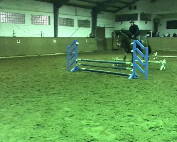 Video of Prince Plotty