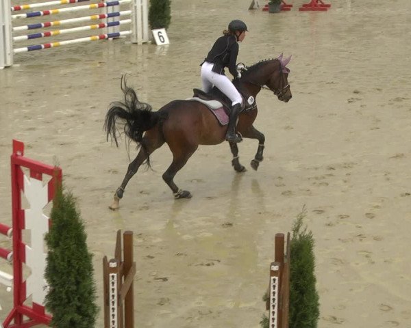 Reitturnier Leutkirch-Diepoldshofen 2019